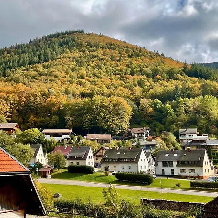 Apartment Ella, 95qm, Terrasse Todtnau